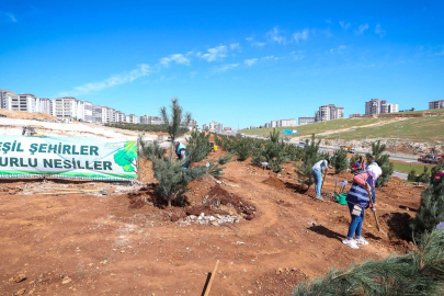 Gaziantep’te kişi başına düşen yeşil alan yaklaşık 13 metrekareye çıktı