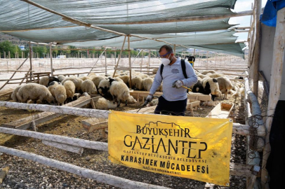 Bayramda yaklaşık 700 personel sahada olacak