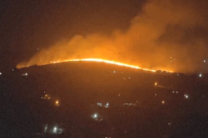 Gaziantep Burç ormanı yanında korkutan yangın