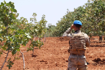 Jandarmadan “yeşil altın” nöbeti! Sezonun ilk hırsızı yakalandı