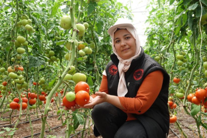 Gaziantep'te seralara kadın eli değdi