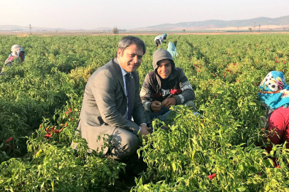 İSLAHİYE VE NURDAĞLI KIRMIZI BİBER ÜRETİCİ ÇİFTÇİLERMİZE MÜJDE !