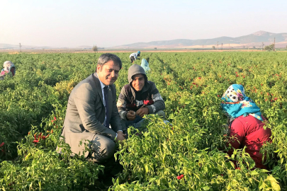 Şahin devreye girdi, Tarım Kredi İslahiye ve Nurdağı'na yöneldi