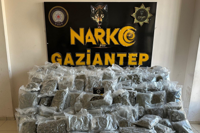 Gaziantep’te 104 kilo skunk ele geçirildi