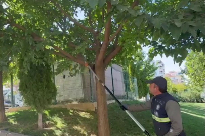 Şahinbey’den yakacak yardımı